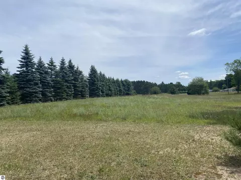 00 Cinder Rd, Beulah, MI 49617 photo 3
