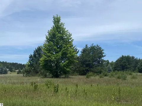 00 Cinder Rd, Beulah, MI 49617 photo 2