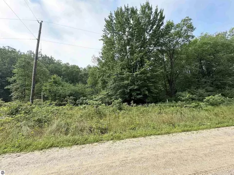 Coe Road, Kaleva, MI 49645 photo 3