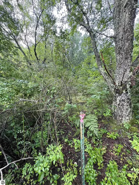 Coe Road, Kaleva, MI 49645 photo 6