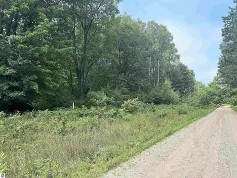Coe Road, Kaleva, MI 49645 photo 4