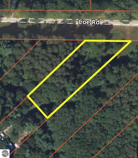 Coe Road, Kaleva, MI 49645 photo 2