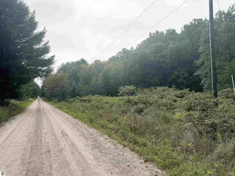 Coe Road, Kaleva, MI 49645 photo 5