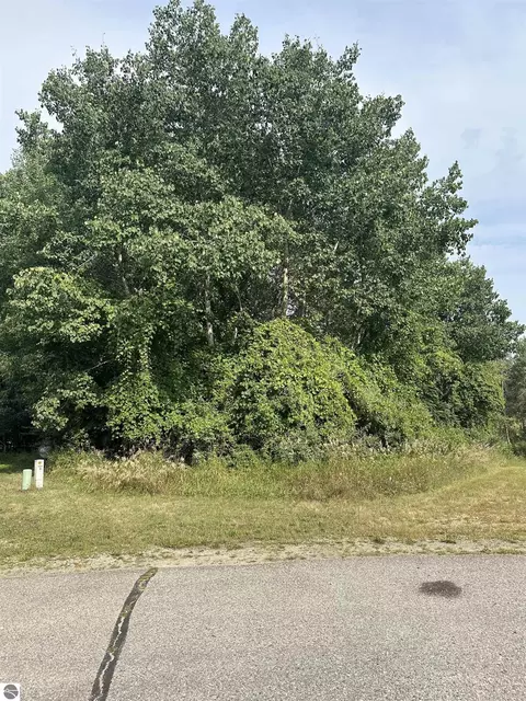 Undisclosed, Lake Isabella, MI 48893