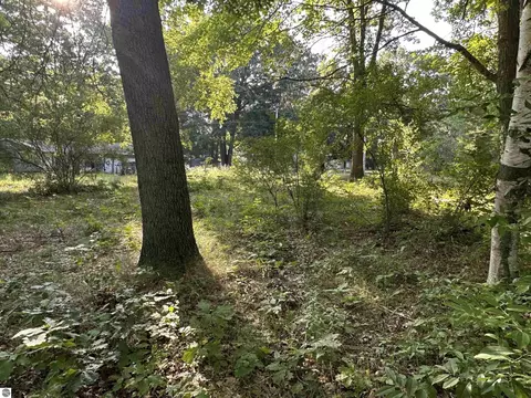 Tbd N Circle E, Farwell, MI 48622 photo 5