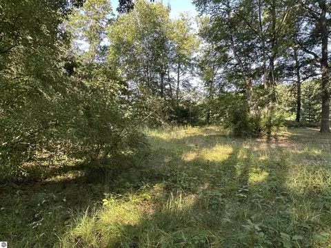 Tbd N Circle E, Farwell, MI 48622 photo 4