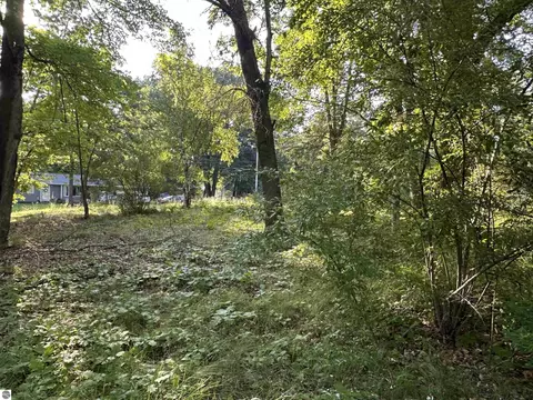 Tbd N Circle E, Farwell, MI 48622 photo 8