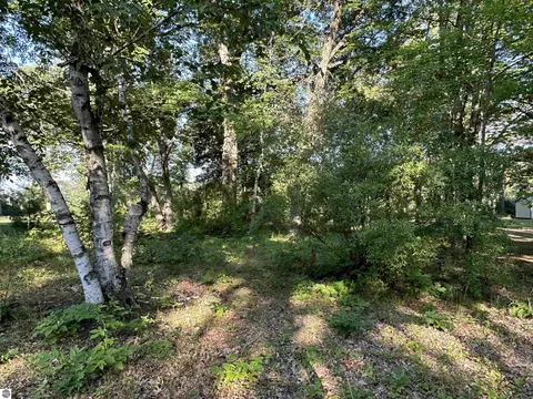 Tbd N Circle E, Farwell, MI 48622 photo 6