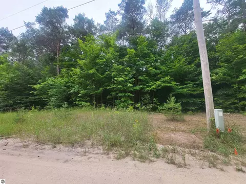 00 Pine Tree Ln, Beulah, MI 49617 photo 11