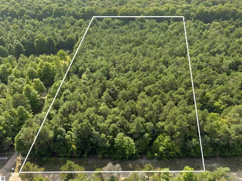 00 Pine Tree Ln, Beulah, MI 49617 photo 17