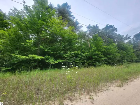 00 Pine Tree Ln, Beulah, MI 49617 photo 9
