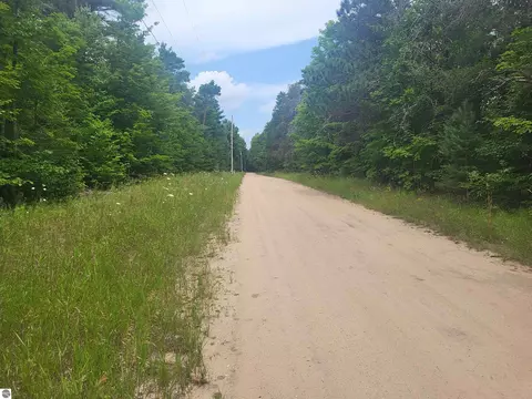 00 Pine Tree Ln, Beulah, MI 49617 photo 6