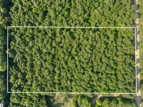 00 Pine Tree Ln, Beulah, MI 49617 photo 14
