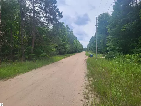 00 Pine Tree Ln, Beulah, MI 49617 photo 5