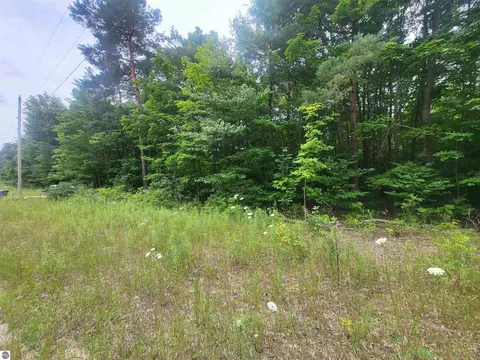 00 Pine Tree Ln, Beulah, MI 49617 photo 4