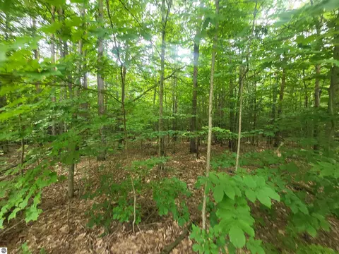 00 Pine Tree Ln, Beulah, MI 49617 photo 7