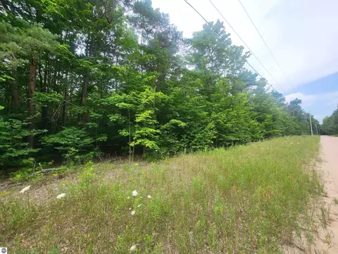00 Pine Tree Ln, Beulah, MI 49617 photo 3