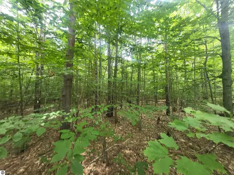 00 Pine Tree Ln, Beulah, MI 49617 photo 8