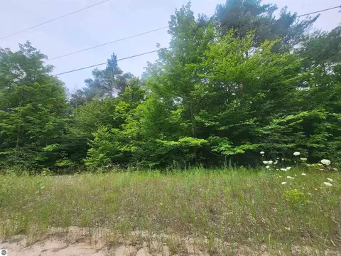 00 Pine Tree Ln, Beulah, MI 49617 photo 10