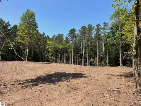 07 S Bright Rd, Maple City, MI 49664
