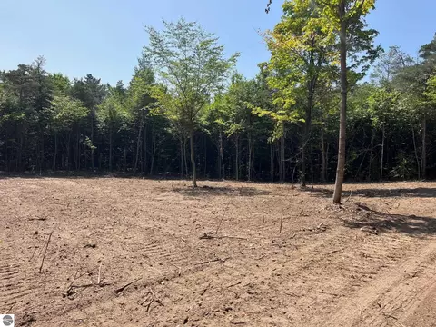 06 S Bright Rd, Maple City, MI 49664