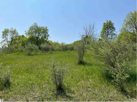 lot45 Floreys Ranch Rd, Grawn, MI 49637