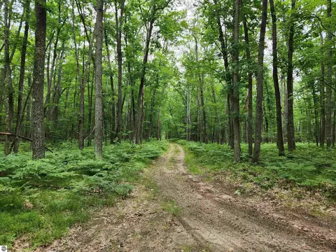 20 Penguin Trl # A, Grayling, MI 49738