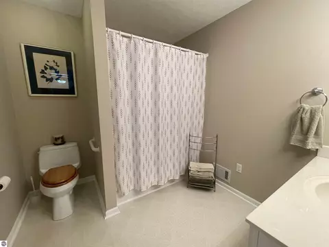 3250 Juniper Dr, Farwell, MI 48622 photo 64