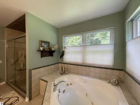 3250 Juniper Dr, Farwell, MI 48622 photo 51