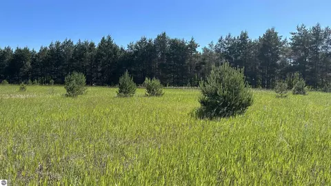 380 Kleehammer Club Dr, Kalkaska, MI 49646
