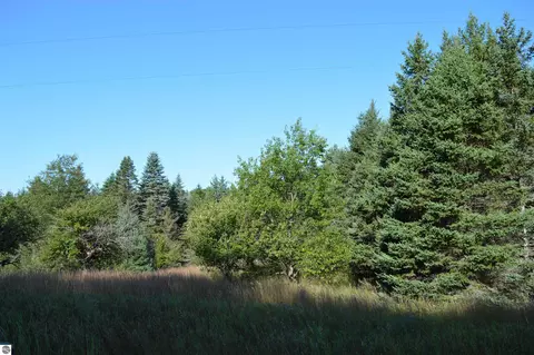 Gildas Road, Rapid City, MI 49676