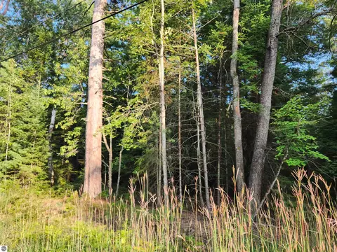 Ausable River Trail, Roscommon, MI 48653 photo 7