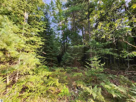 Ausable River Trail, Roscommon, MI 48653 photo 9