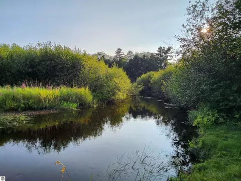 Ausable River Trail, Roscommon, MI 48653 photo 20