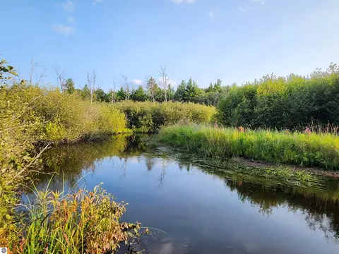 Ausable River Trail, Roscommon, MI 48653