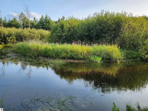 Ausable River Trail, Roscommon, MI 48653 photo 16