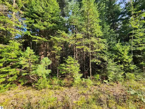 Ausable River Trail, Roscommon, MI 48653 photo 10