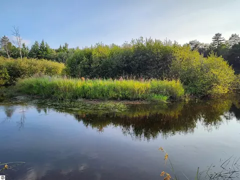 Ausable River Trail, Roscommon, MI 48653 photo 19