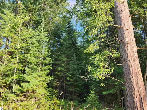 Ausable River Trail, Roscommon, MI 48653 photo 3
