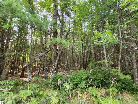 Ausable River Trail, Roscommon, MI 48653 photo 11