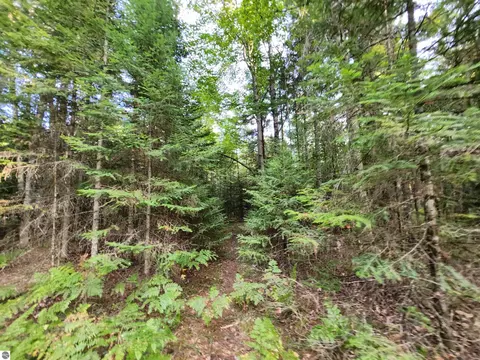 Ausable River Trail, Roscommon, MI 48653 photo 8