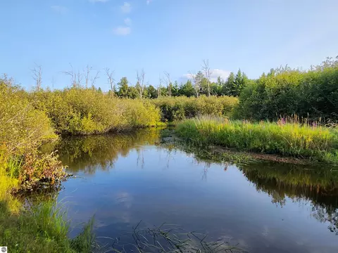 Ausable River Trail, Roscommon, MI 48653 photo 18