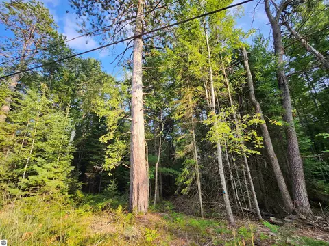 Ausable River Trail, Roscommon, MI 48653 photo 14