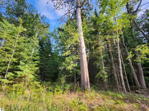 Ausable River Trail, Roscommon, MI 48653 photo 13