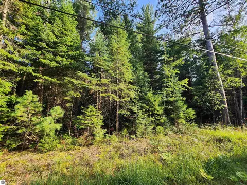 Ausable River Trail, Roscommon, MI 48653 photo 12
