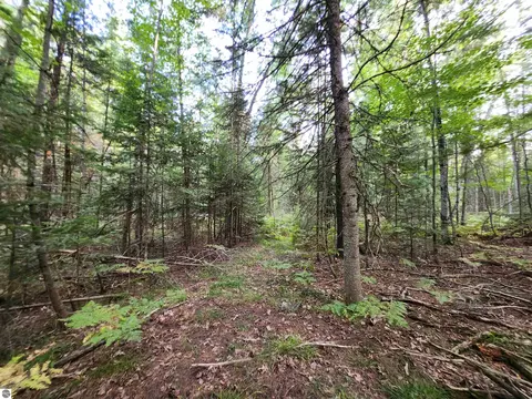 Ausable River Trail, Roscommon, MI 48653 photo 4