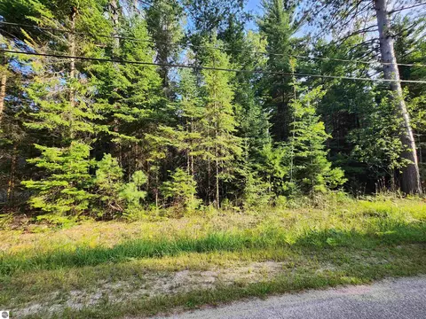 Ausable River Trail, Roscommon, MI 48653 photo 15