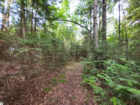 Ausable River Trail, Roscommon, MI 48653 photo 5