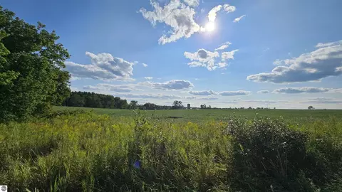 N/a Maple Ridge Road, Alger, MI 48610