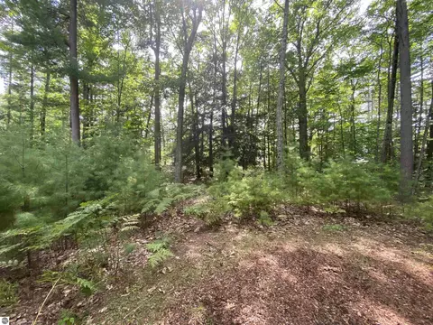 12 Deer Park, Glen Arbor, MI 49636